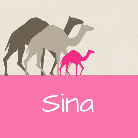 stijlvol geboortekaartje Sina voor meisje met kameel op karton