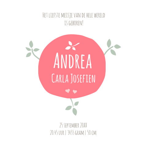 Lieve geboortekaart Andrea met vogeltjes en takjes