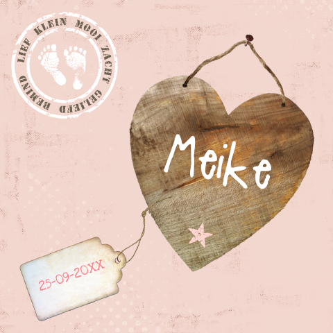 Origineel kaartje voor meisje met roze sloophout en ruitje Meike