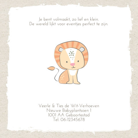 Lief Geboortekaartje Met Schattig Leeuwtje Op Kraft