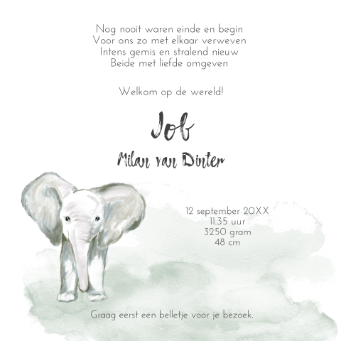 Tweeling rouwkaart olifantje waarvan één baby is overleden