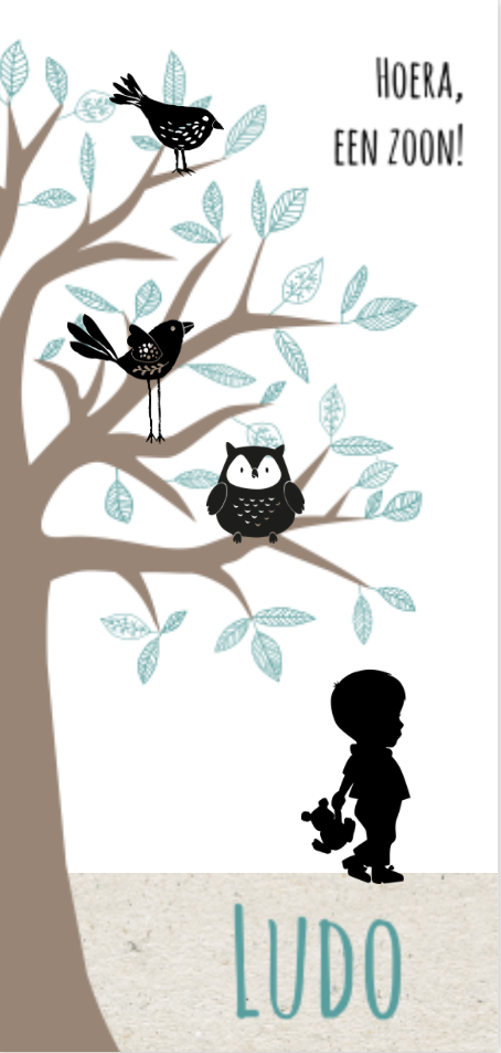 Wow silhouet geboortekaartje met lief jongetje, boom, vogeltjes en uiltje